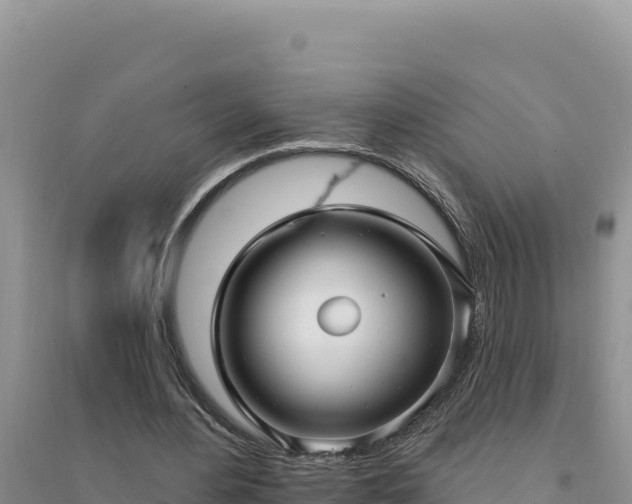 X0000094350484200711091456