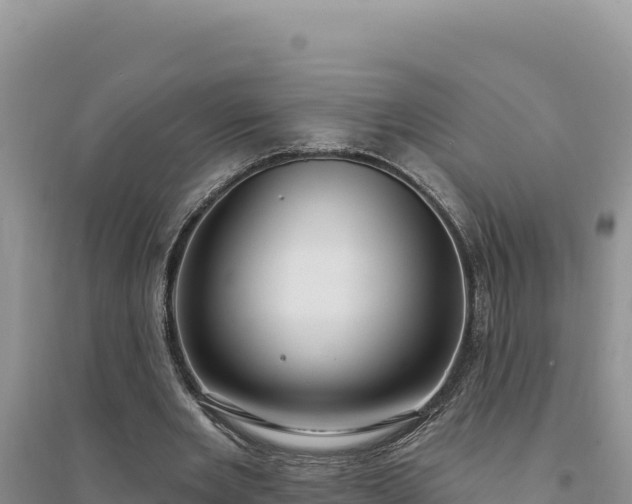 X0000094350485200711091456