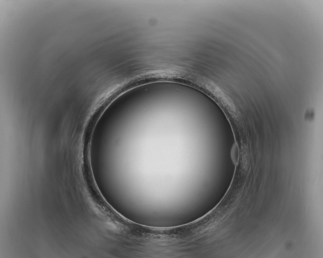 X0000094350486200711091456