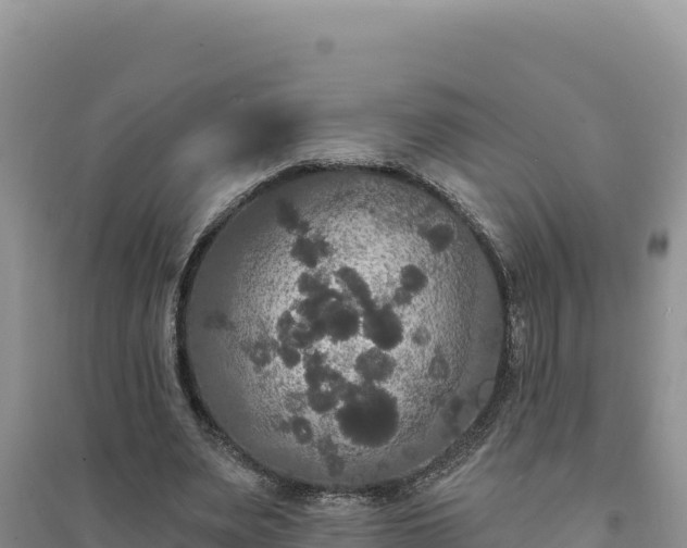 X0000094350487200711091455