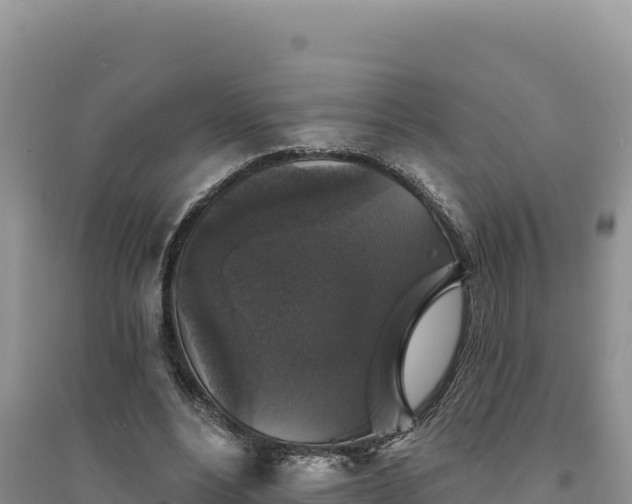 X0000094350488200711091455