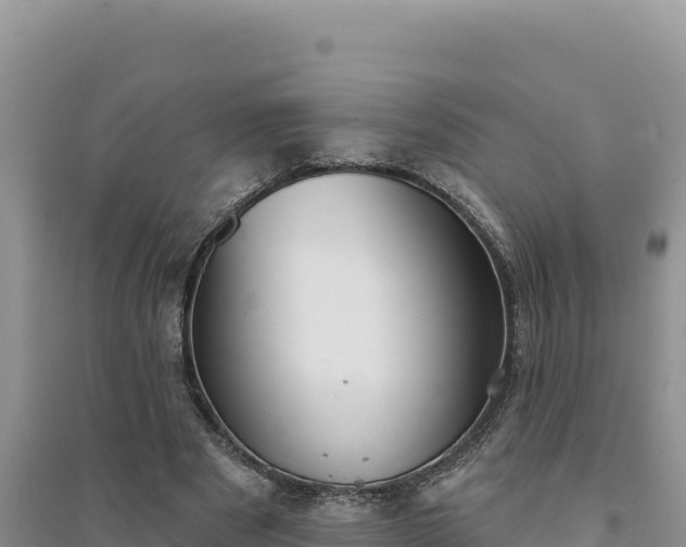 X0000094350489200711091455