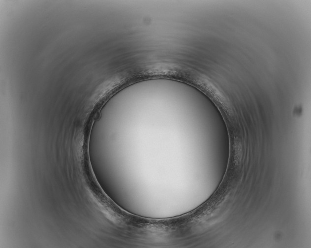 X0000094350490200711091455