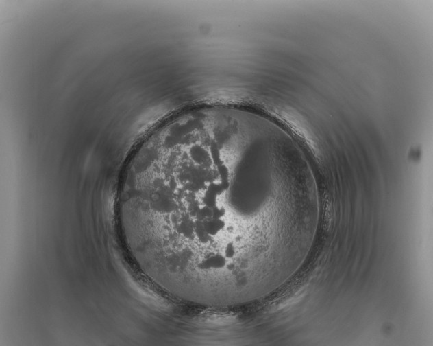 X0000094350491200711091455