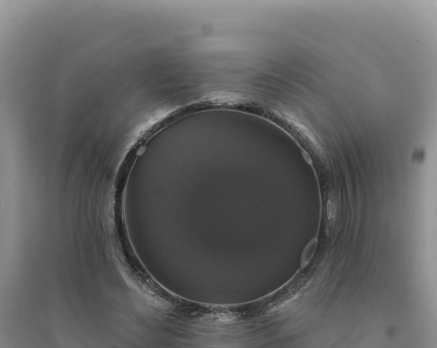 X0000094350492200711091455