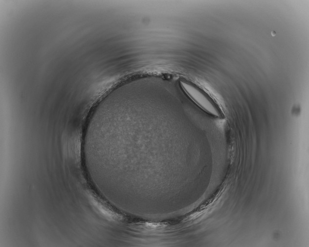 X0000094350493200711091455