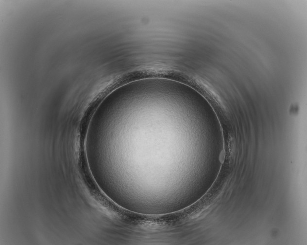 X0000094350494200711091455