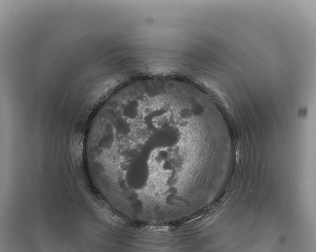 X0000094350495200711091455