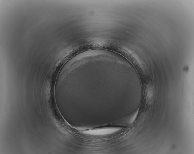 X0000094350496200711091455