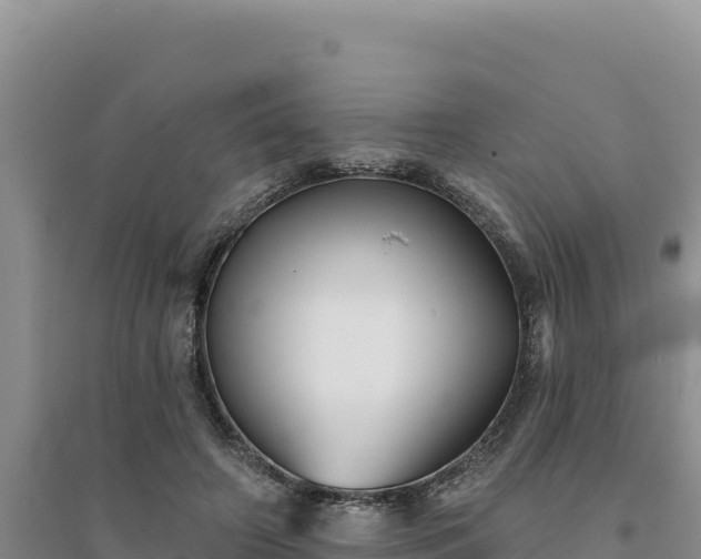 X0000094350498200711091455