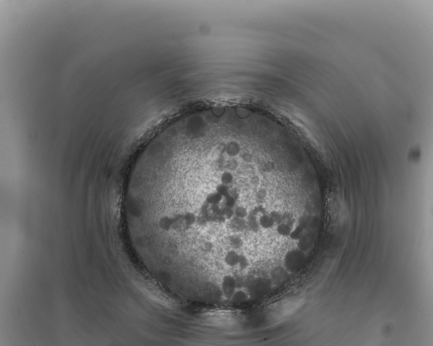 X0000094350499200711091455