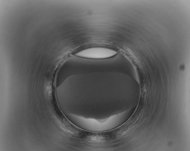 X0000094350500200711091455