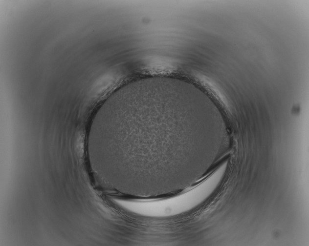 X0000094350501200711091455