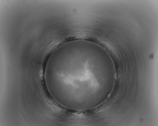 X0000094350502200711091455