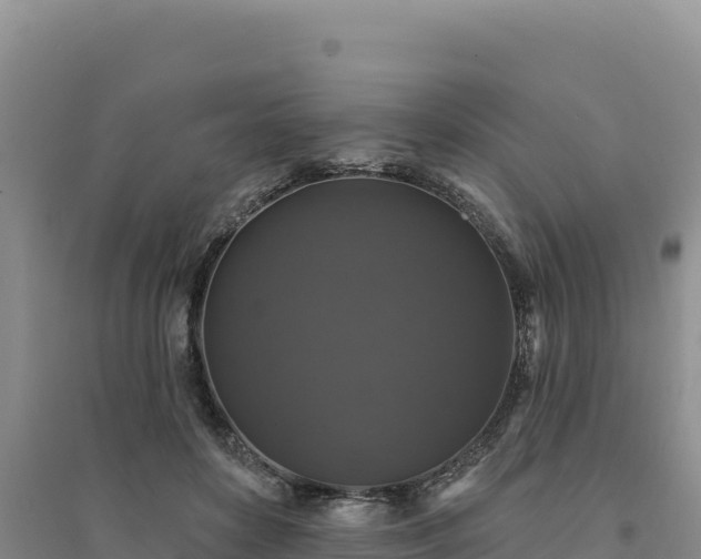 X0000094350504200711091455