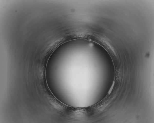 X0000094350505200711091455