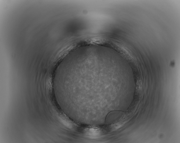 X0000094350506200711091455