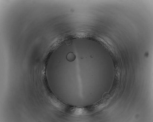 X0000094350507200711091455