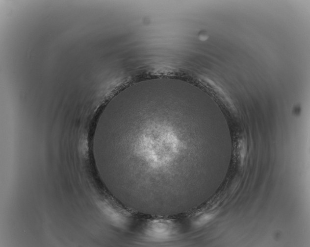 X0000094350508200711091455