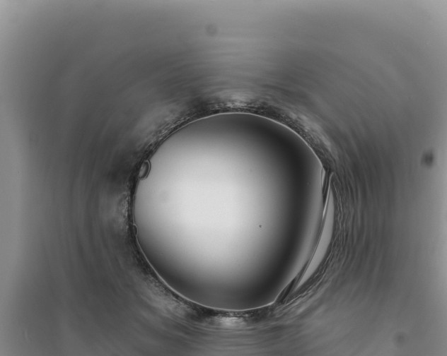 X0000094350509200711091455