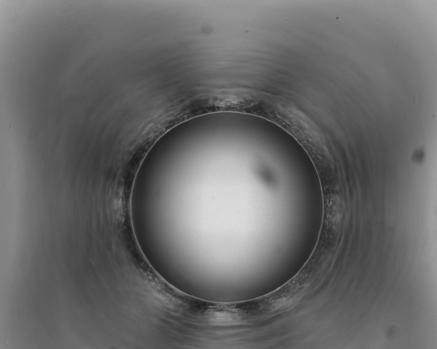 X0000094350510200711091455