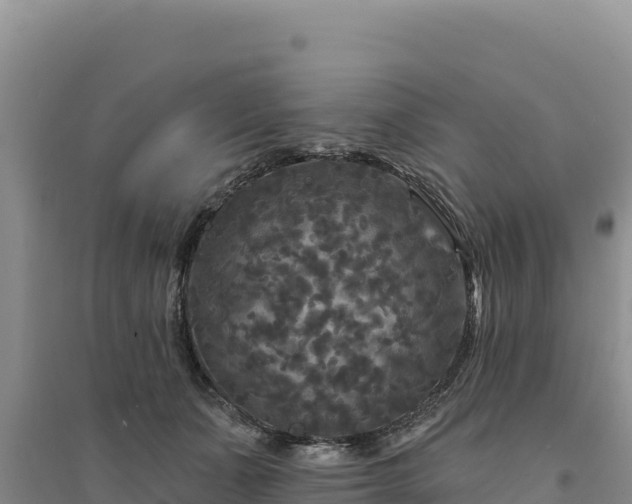 X0000094350511200711091455