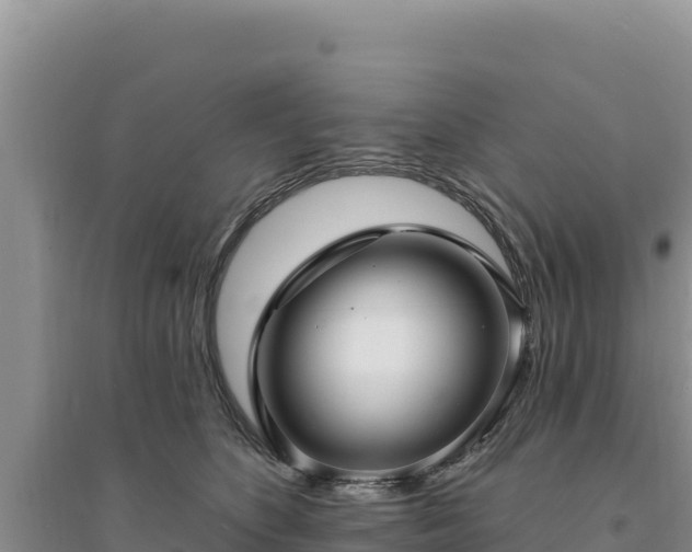 X0000094350516200711091455