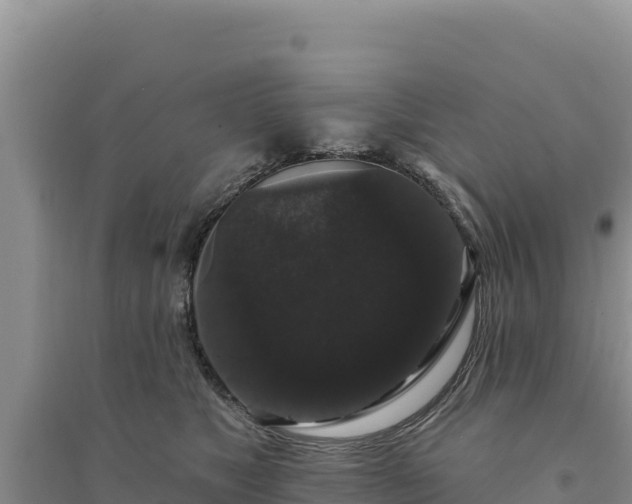 X0000094350517200711091455