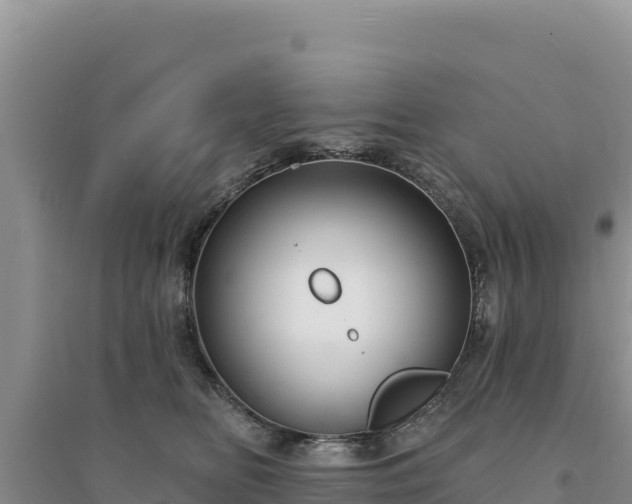 X0000094350518200711091455