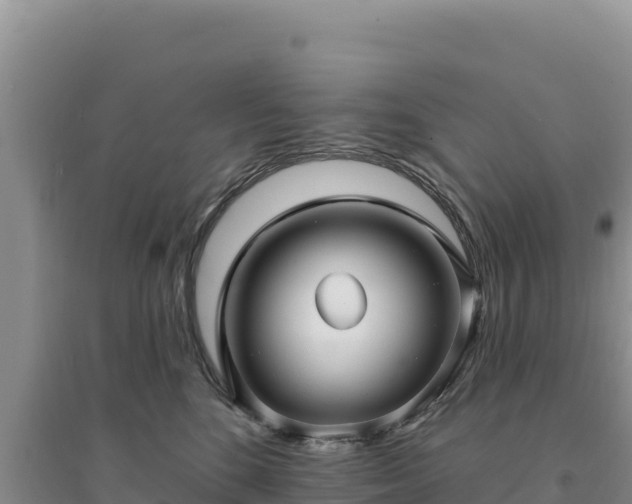 X0000094350520200711091455