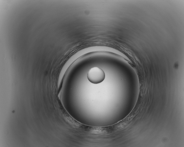 X0000094350521200711091455