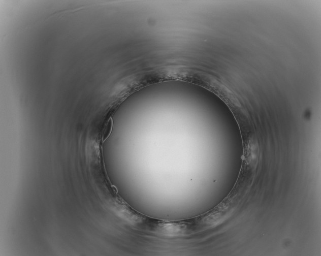 X0000094350522200711091455