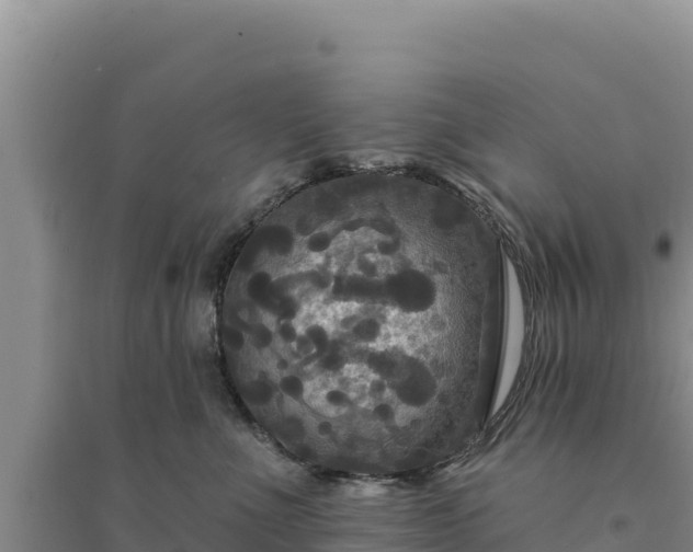 X0000094350523200711091455