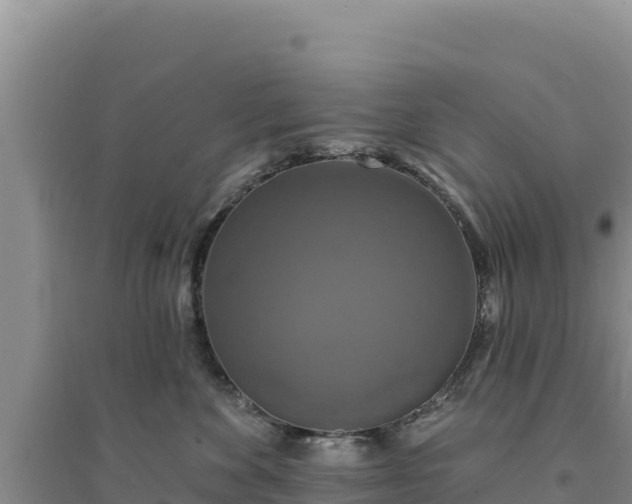 X0000094350524200711091455