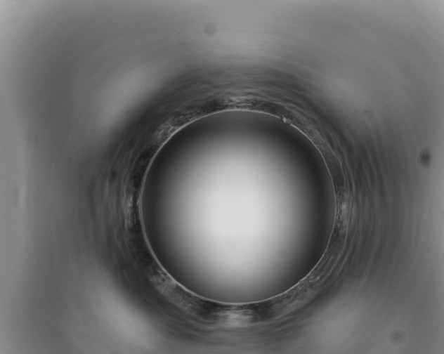 X0000094350525200711091455