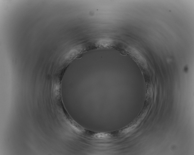 X0000094350526200711091455