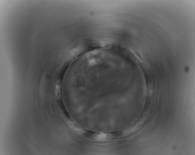 X0000094350527200711091455