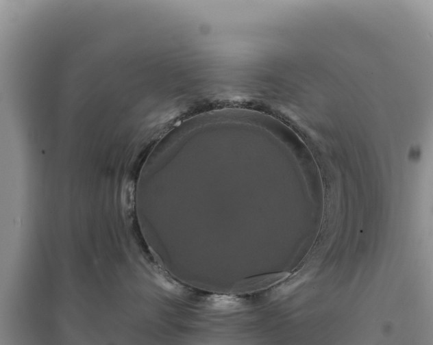 X0000094350528200711091455