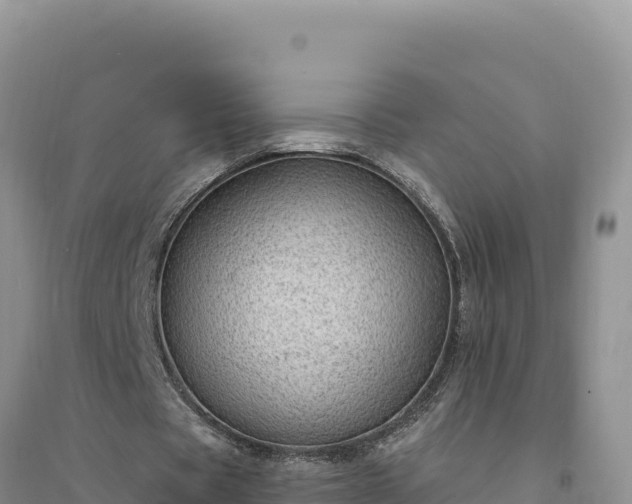 X0000094350529200711091454