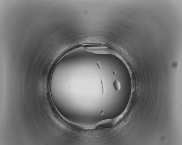 X0000094350530200711091454