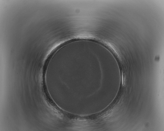 X0000094350531200711091454