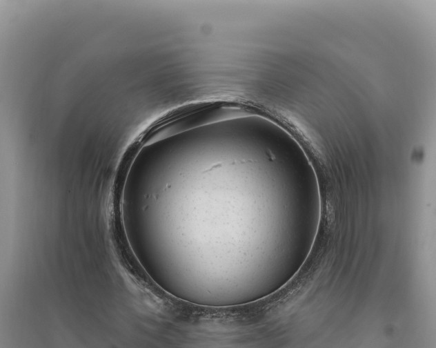 X0000094350532200711091454