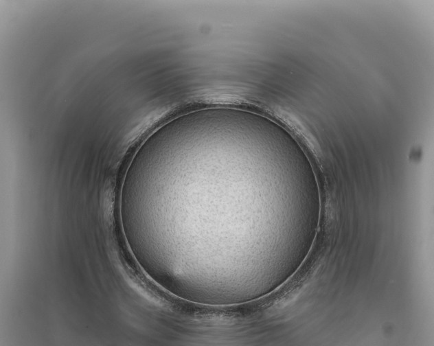 X0000094350533200711091454