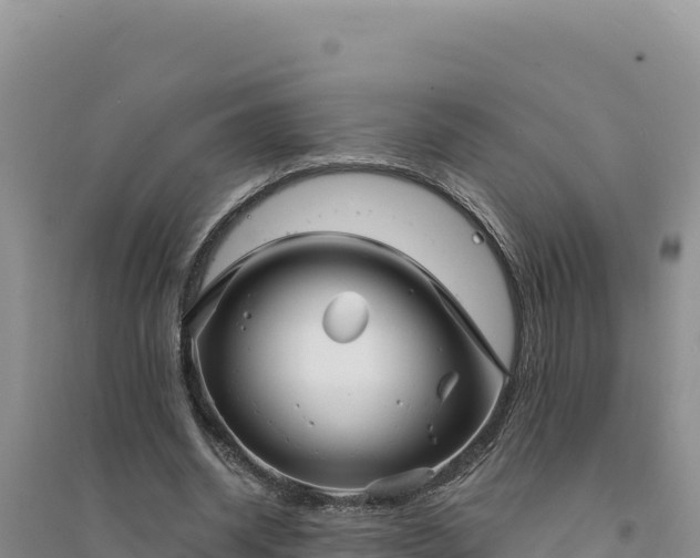 X0000094350534200711091454