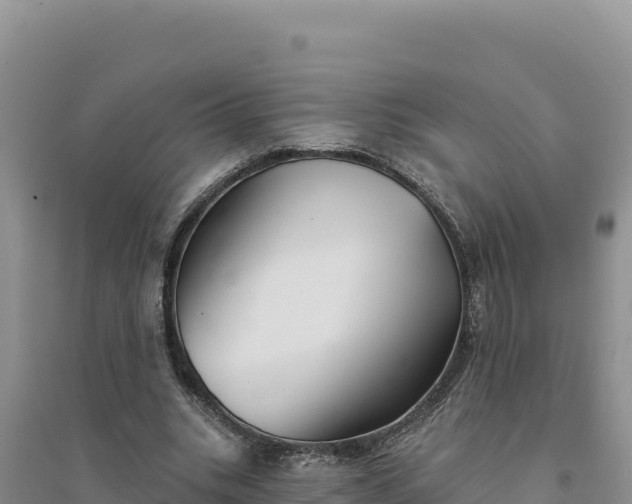 X0000094350535200711091454