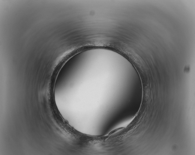 X0000094350536200711091454