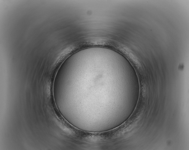 X0000094350537200711091454