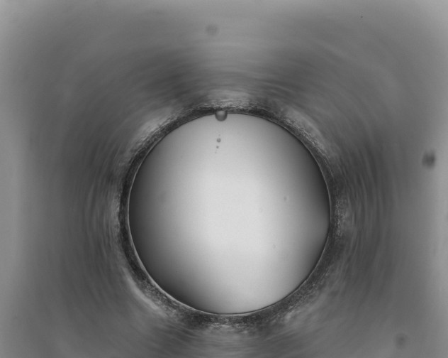 X0000094350538200711091454