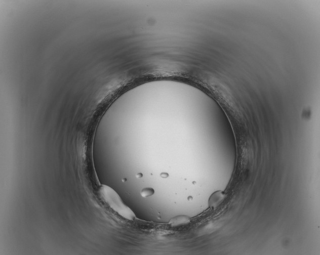 X0000094350539200711091454