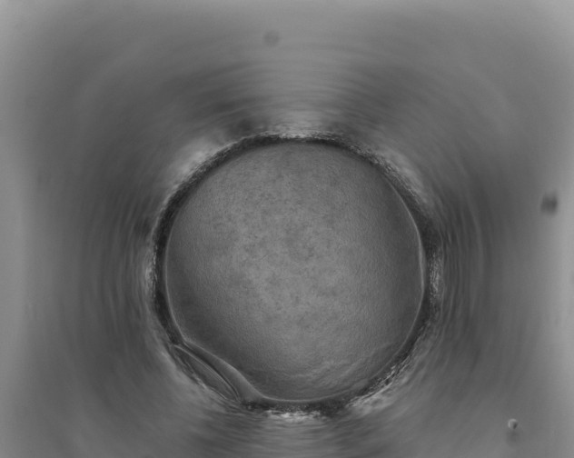 X0000094350540200711091454